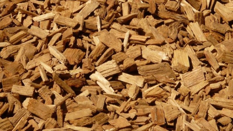 Biomass can be gasified in biomass gasification systems that are coupled with high-temperature fuel cells (SOFC).