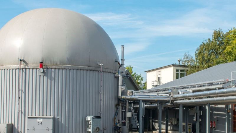 The conversion of biogas into electricity offers a way to compensate for fluctuations in the supply of wind and solar power through adapted production. Research biogas plant of the German Biomass Research Centre