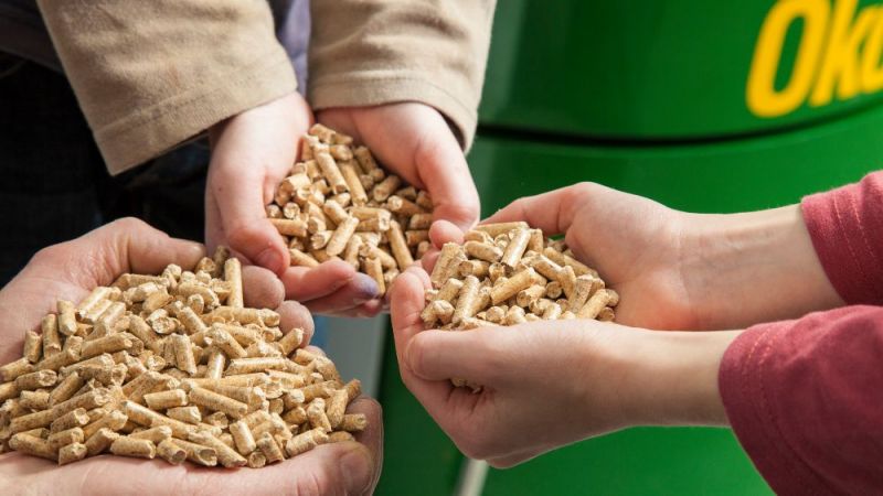 The symbol photo shows wood pellets in the hands of three persons.