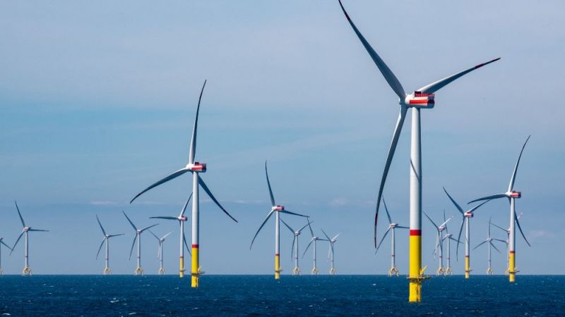 The photo shows wind turbines at sea.