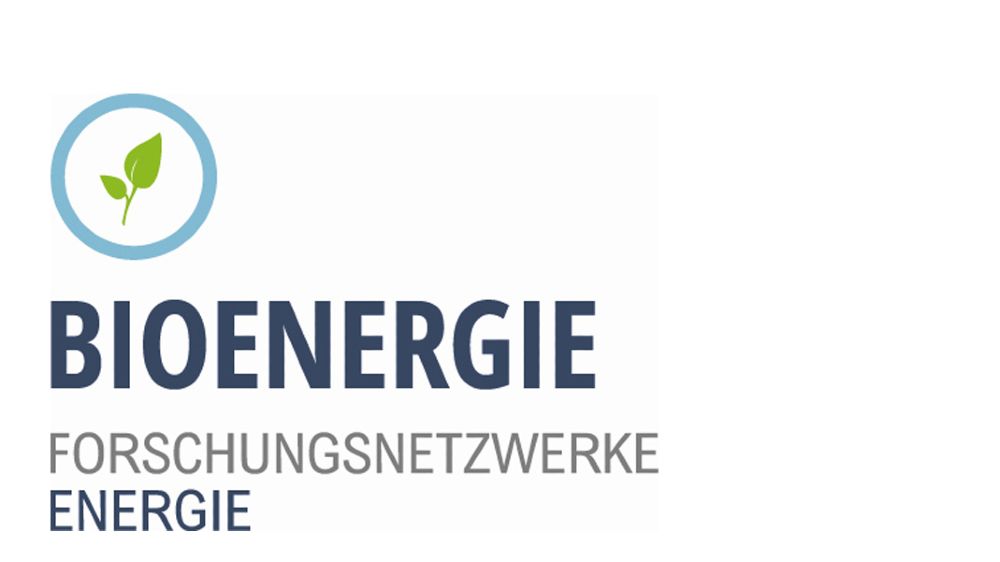 Logo Bioenergy Research Network