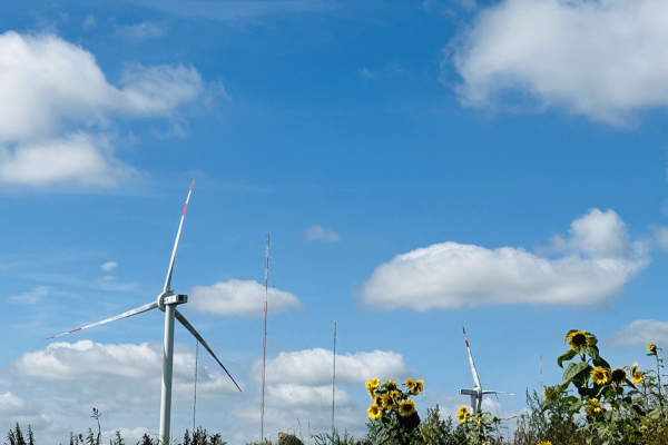 Eindrücke des neu eröffneten Forschungsparks Windenergie Krummendeich WiValdi
