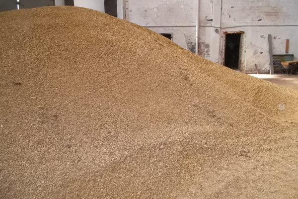 Large batch of NaOH straw pellets in the biogas plant store