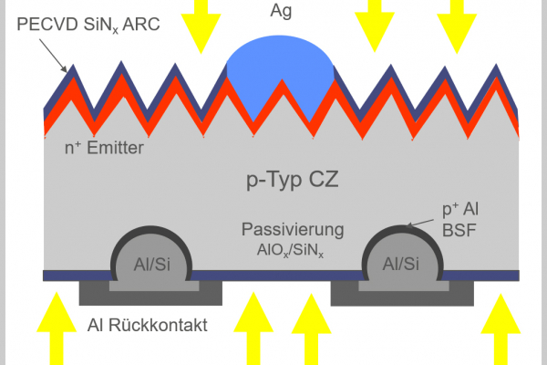 Schematic cross-section of a PERC+ solar cell. PECVD: plasma-enhanced chemical gas-phase deposition.