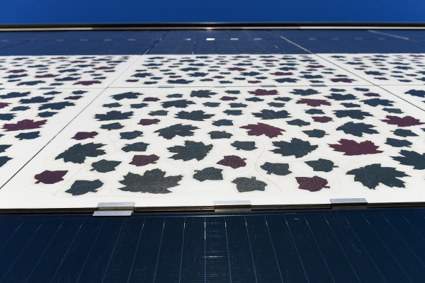 Close-up of the pilot installation of the standard BIPV facade system.